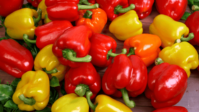 Paprikas of various colors