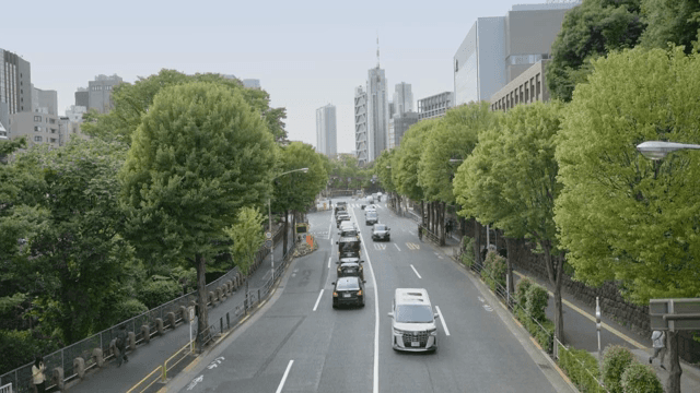 차와 나무가 있는 번화한 도시 거리