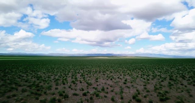 Vast green field under a cloudy sky