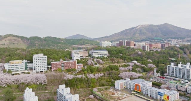 Scenic view of a campus with cherry blossoms