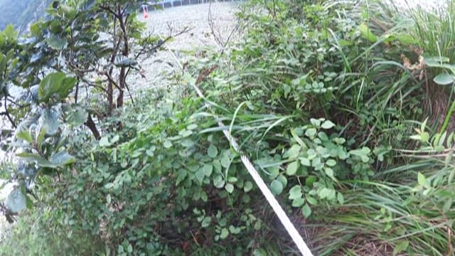 험난한 산길에 설치된 강철 안전 케이블