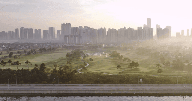 나무와 강이 있는 도시 스카이라인