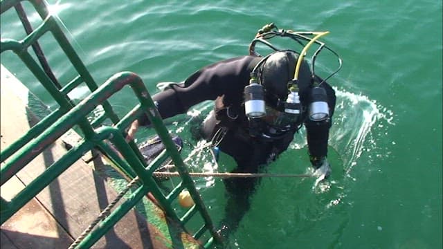 스쿠버 다이버의 수중 탐험 준비