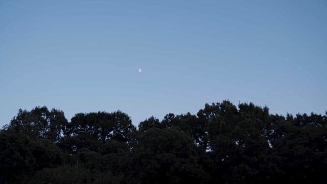 평화로운 저녁 하늘과 반달