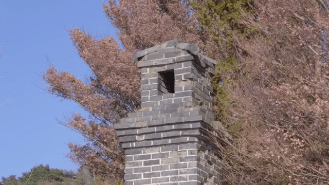 배경에 나무가 있는 벽돌 굴뚝