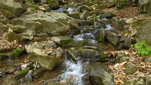 바위 위로 흐르는 작은 시냇물