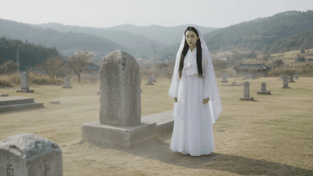 Woman in traditional clothing standing in cemetery