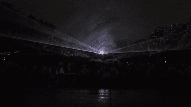 Laser show illuminating forest at night