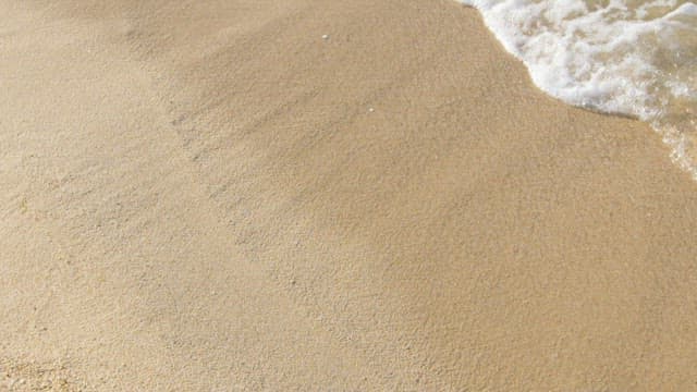 Waves Gently Crashing onto the Sandy Shore