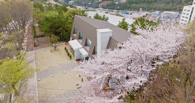 Building surrounded by cherry blossoms