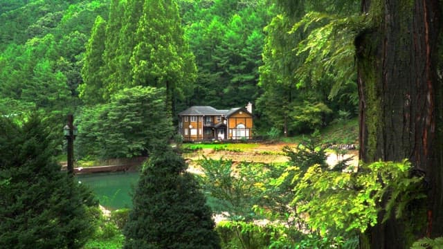 House surrounded by lush green forest