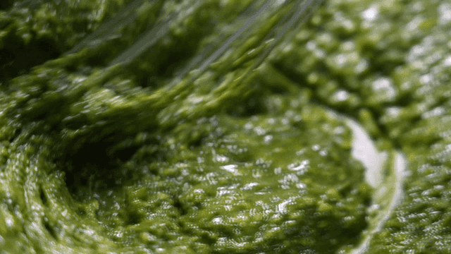 Mixed basil oil sauce