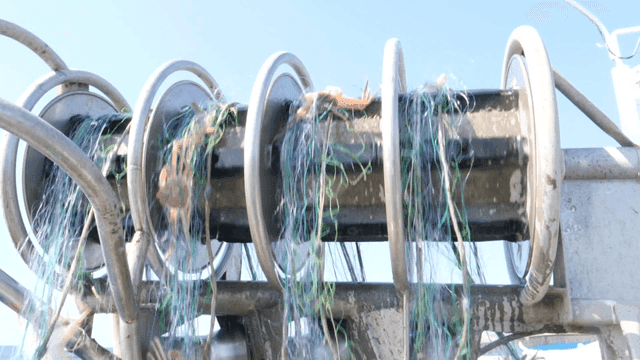 어선에서 그물로 올려지는 게