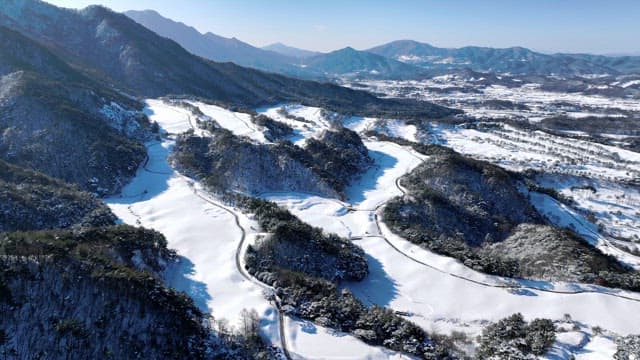 Snowy Landscape with Pine Trees and Mountains