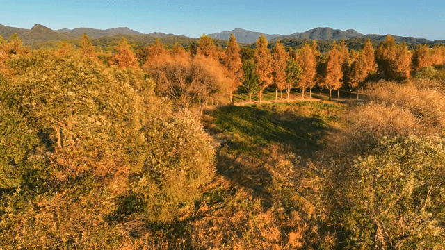 단풍이 든 나무들로 가득한 아름다운 공원