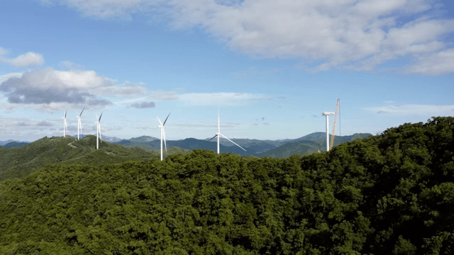 Wind turbines on a lush green mountain