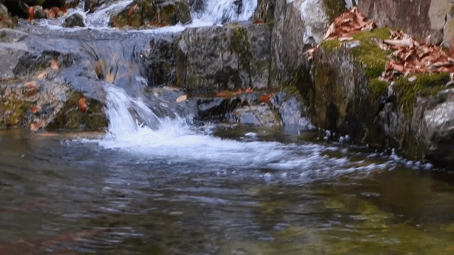 바위를 흐르는 작은 폭포