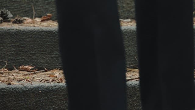 낙엽 쌓인 돌계단을 오르는 구두 신은 사람