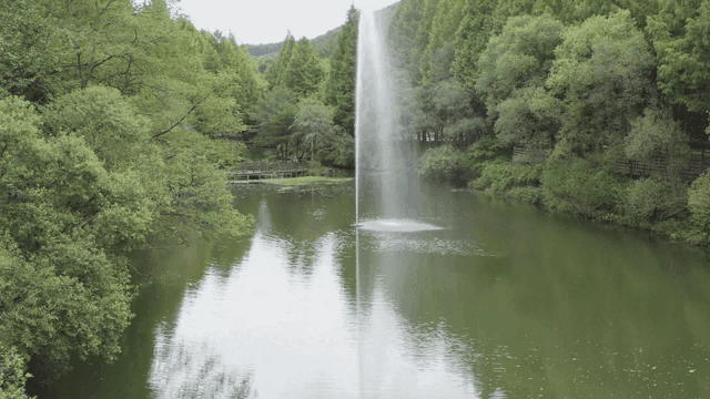 숲으로 둘러싸인 분수 연못과 물레방아