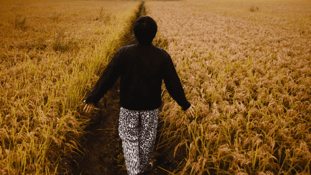 Old students walking through fields