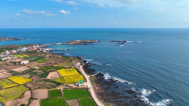 바다 옆 해안 마을과 농경지