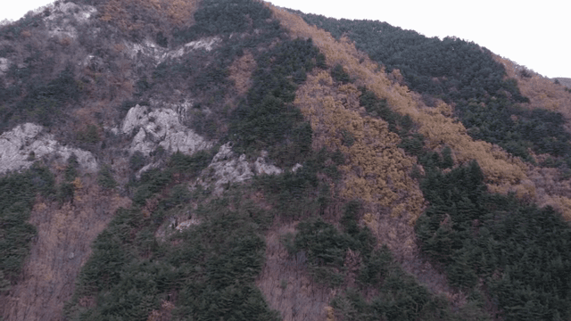 Mountain landscape with autumn foliage