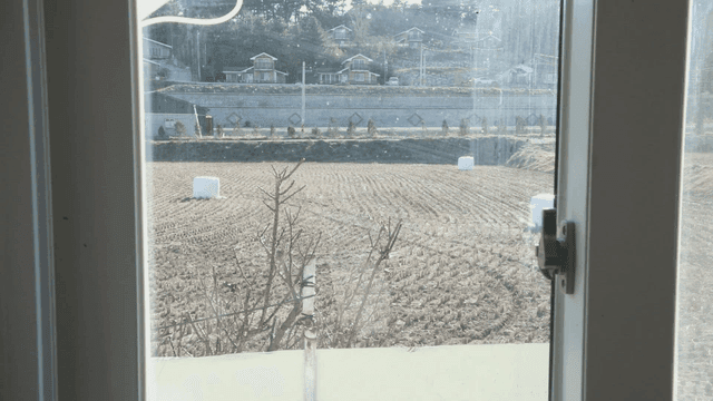 창문을 통해 본 겨울 들판