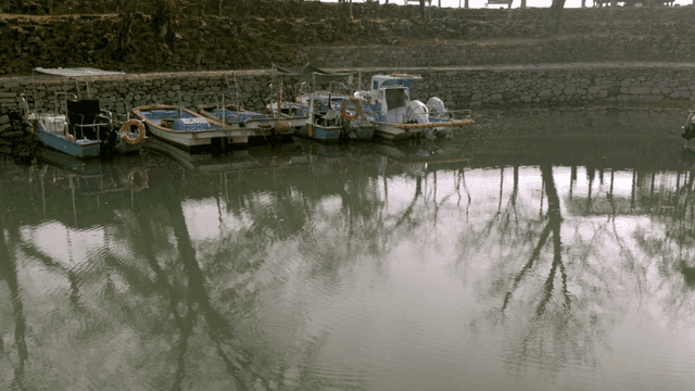 Boats anchored on calm lake
