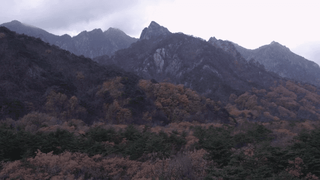 가을 단풍이 있는 산 풍경