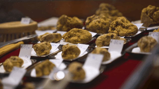 Truffle mushrooms displayed with price tags