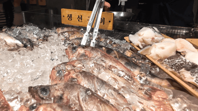 Fresh seafood and skewers on ice display