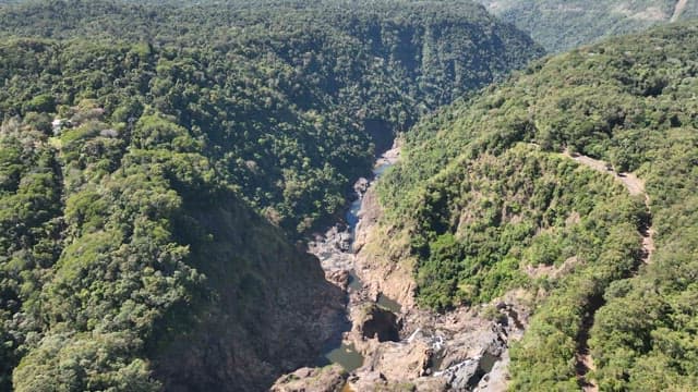 Green forest with a view of a deep valley