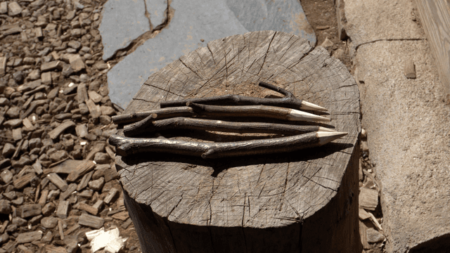 나무 그루터기에 놓인 뾰족한 나무 막대기들