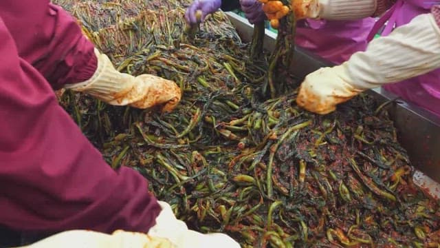 Preparing Kimchi with fresh vegetables in a kitchen