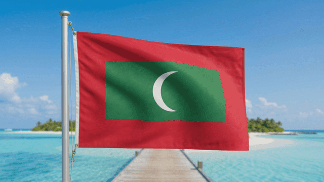Maldivian flag fluttering on pier by sea