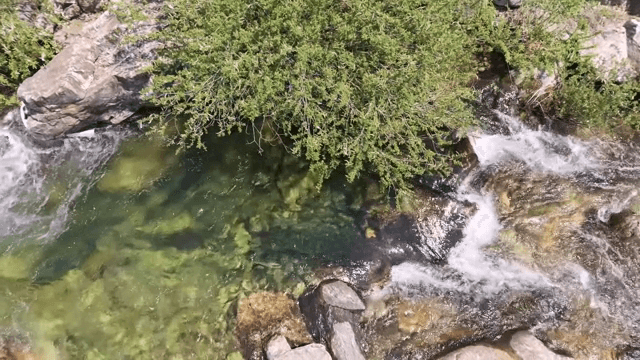 Clear stream flowing over rocks