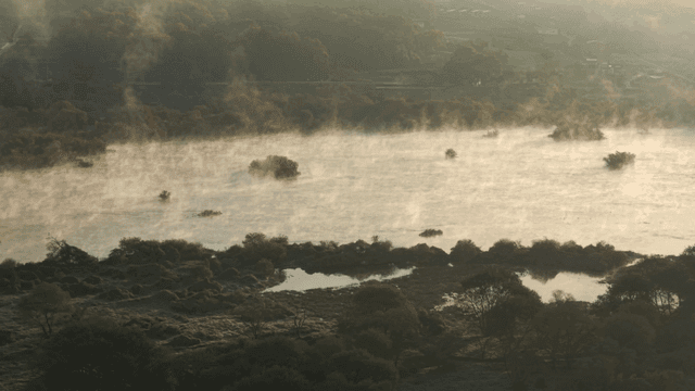 고요한 강 풍경 위의 아침 안개