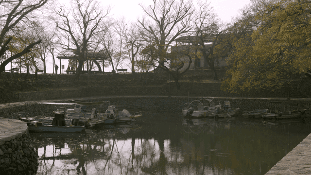 Tranquil lakeside with boats and trees