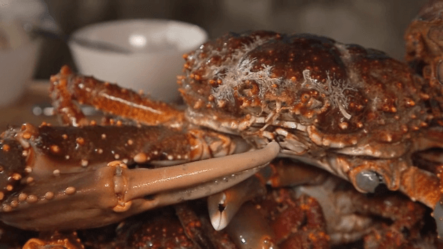 용기에 담긴 신선한 게 무더기