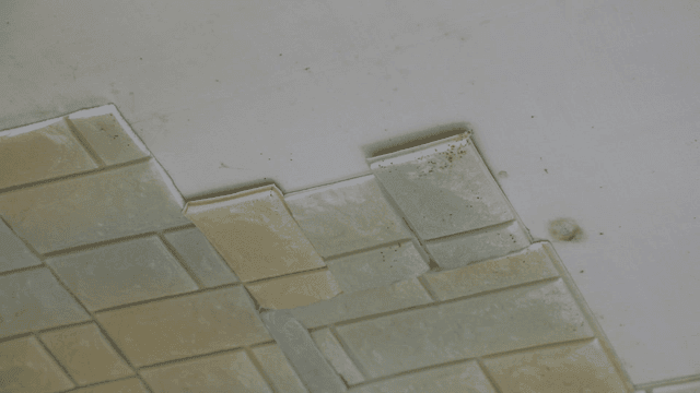 Close-up of a tiled wall with damage