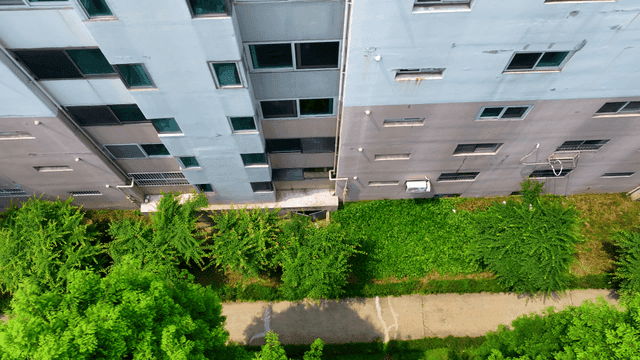 아파트 건물과 아래의 녹색 나무들