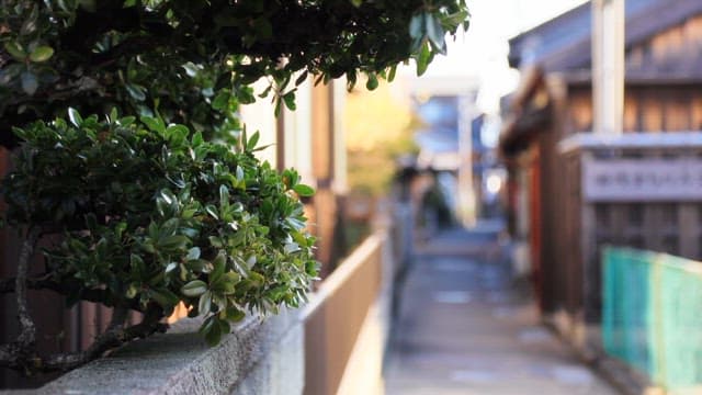 전통 가옥이 있는 조용한 골목