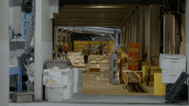 Fish market with workers and boxes