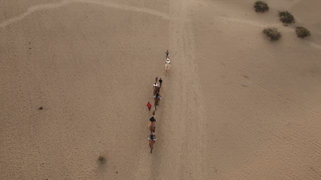 People riding camels in the desert