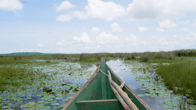 Tranquil river with wooden canoes