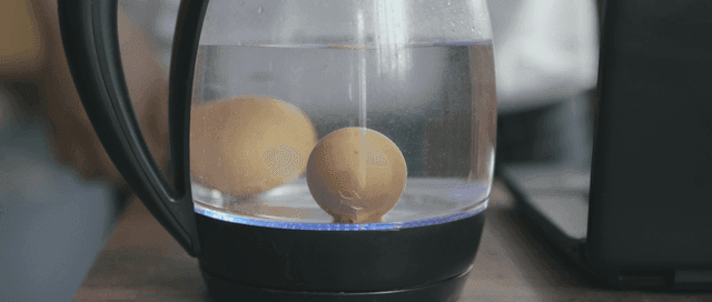 주전자에서 끓고 있는 달걀
