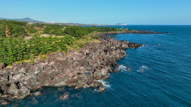 Scenic coastline with lush greenery