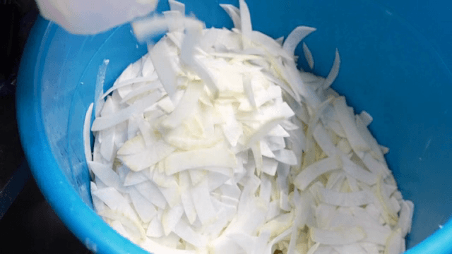 파란 용기에 담긴 썬 무