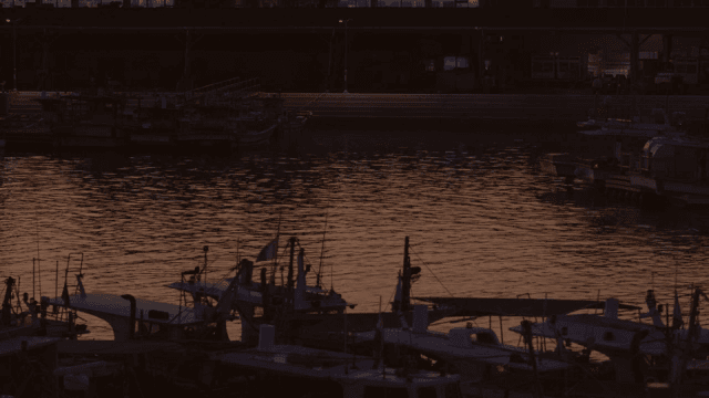 Boats docked at sunset with calm waters