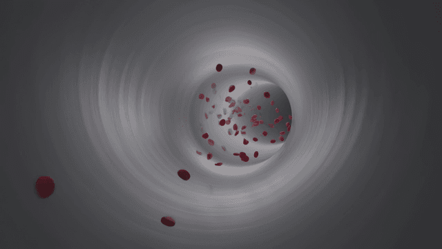 Red blood cells flowing through a vessel